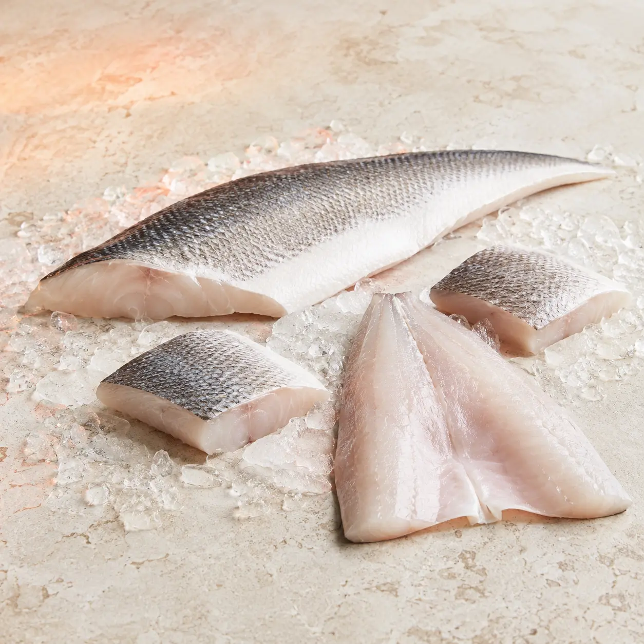 Seabass